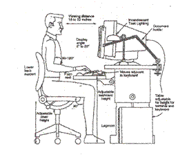 Back Pain Prevention