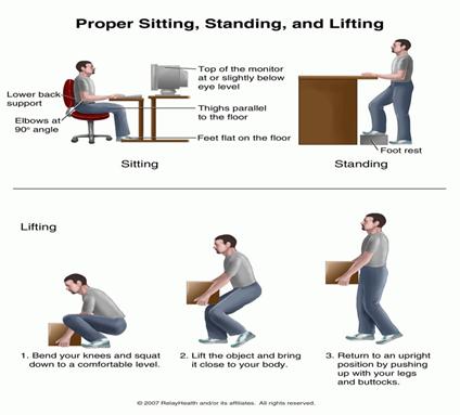 Proper sitting posture hotsell for lower back pain